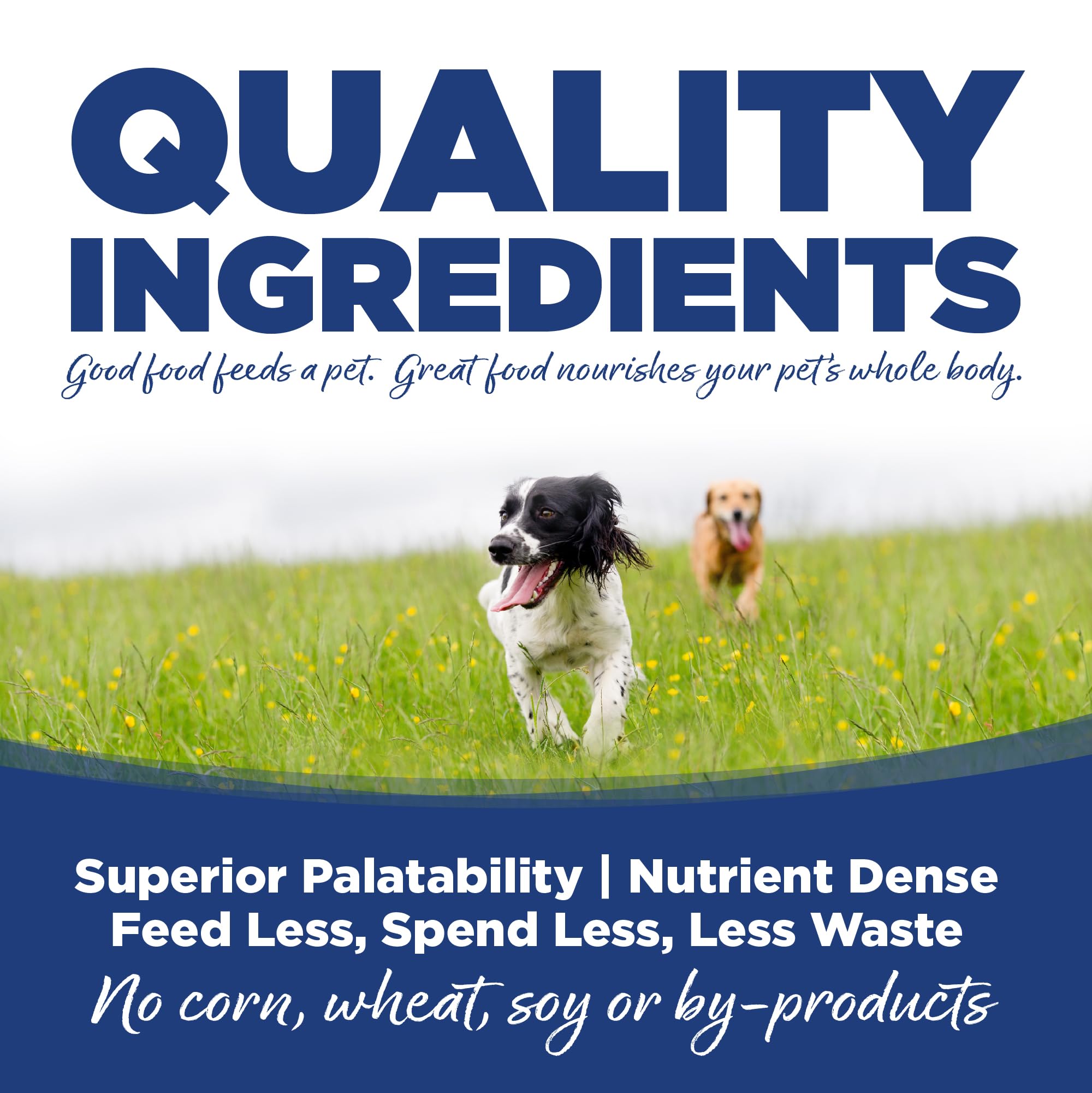 NutriSource Trout and Rice dry dog food pet owner – easy rotation and varied protein options.