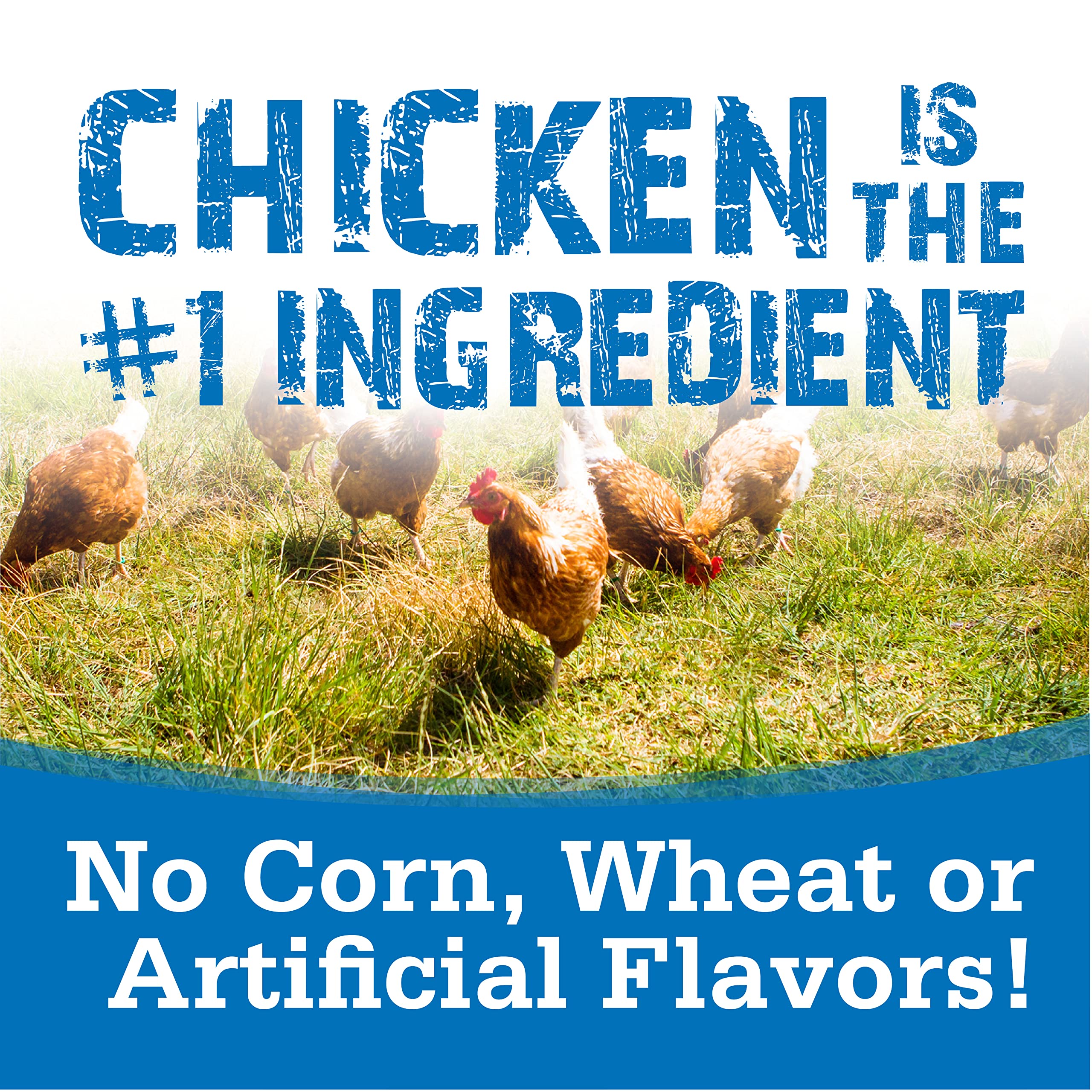 NutriSource TU80020 ingredients image emphasizing real chicken as primary protein.