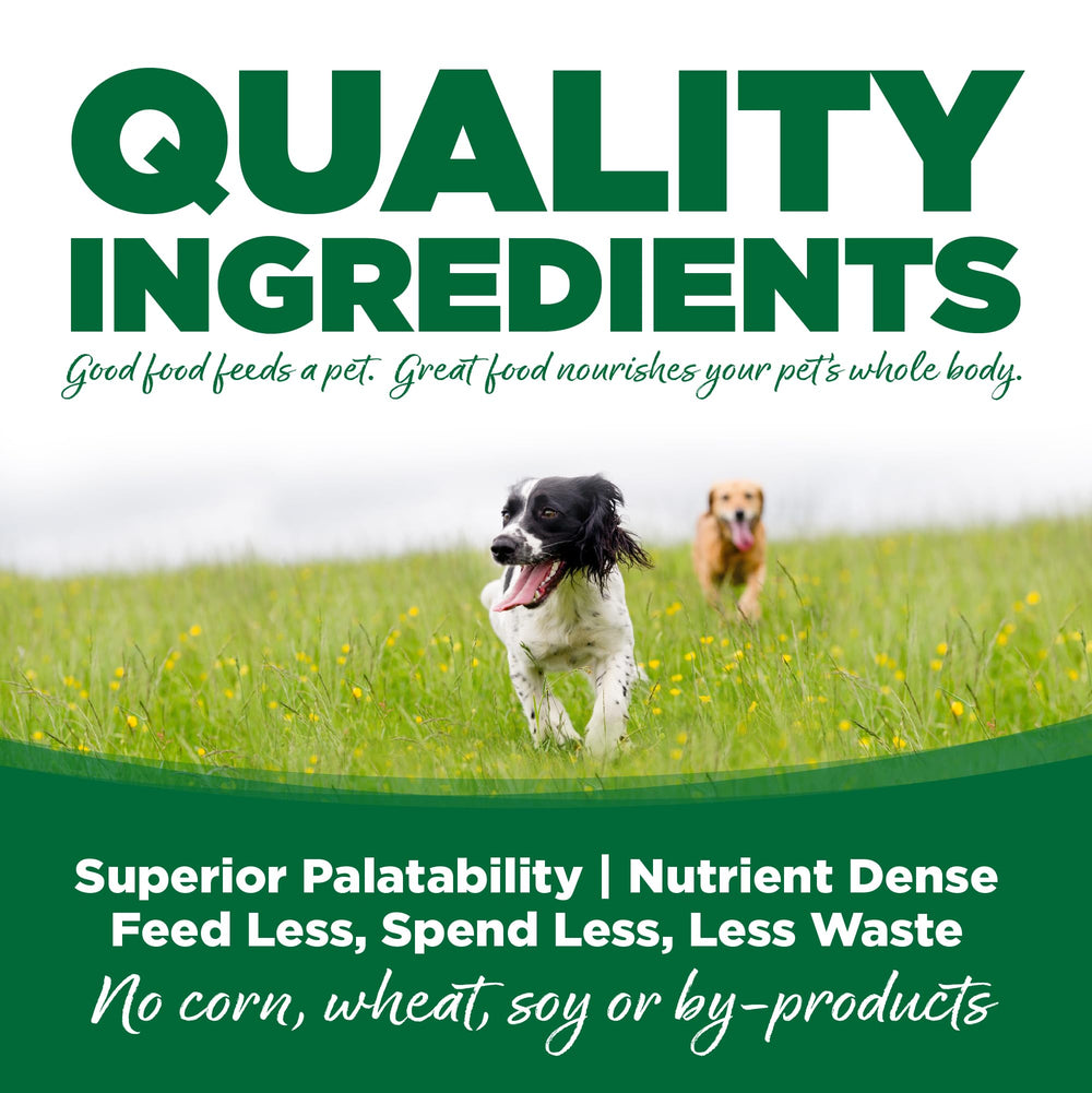 NutriSource kibble in bowl illustrates balanced nutrition for daily meals.