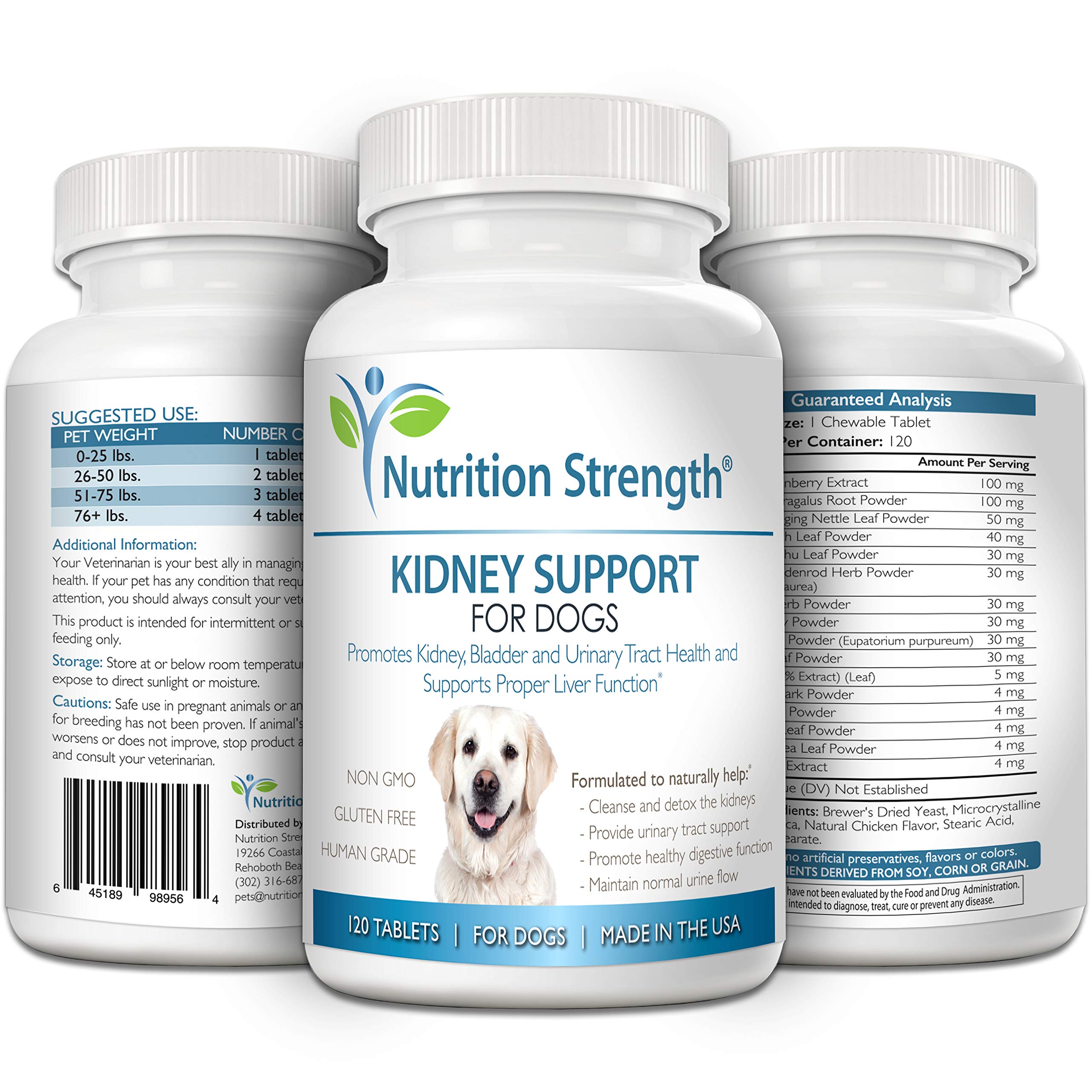 Nutrition Strength Kidney Support for Dogs featuring astragalus and nettle leaf blend for holistic support.