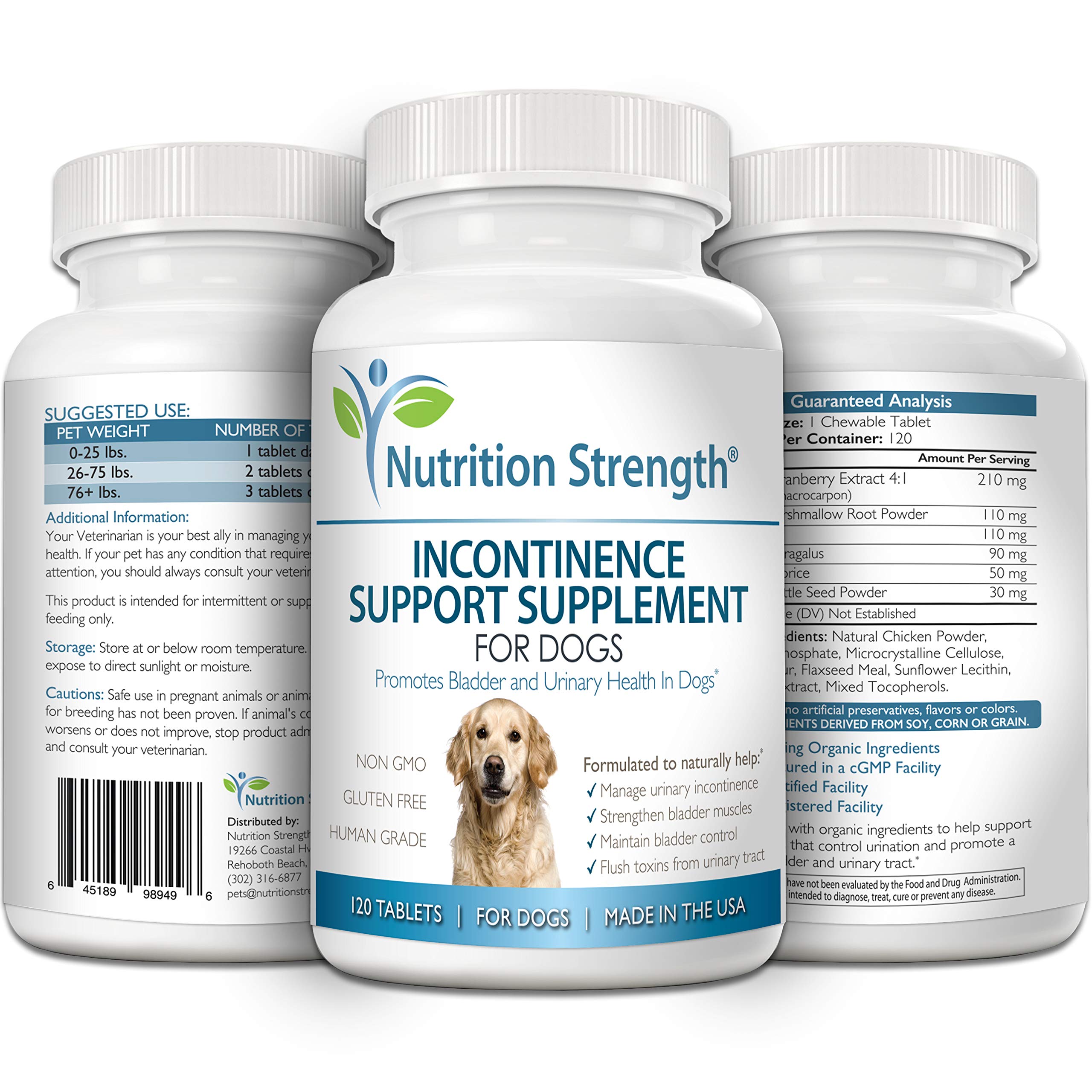 Nutrition Strength astragalus root ingredient close-up hints inflammation-relief potential.