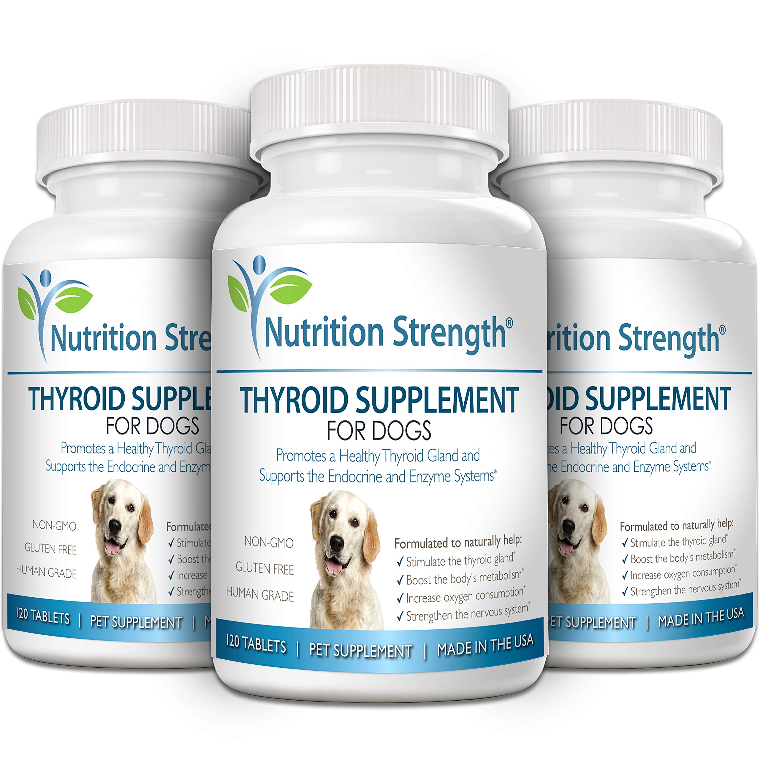 Nutrition Strength bladderwrack ingredient — supports healthy thyroid function
