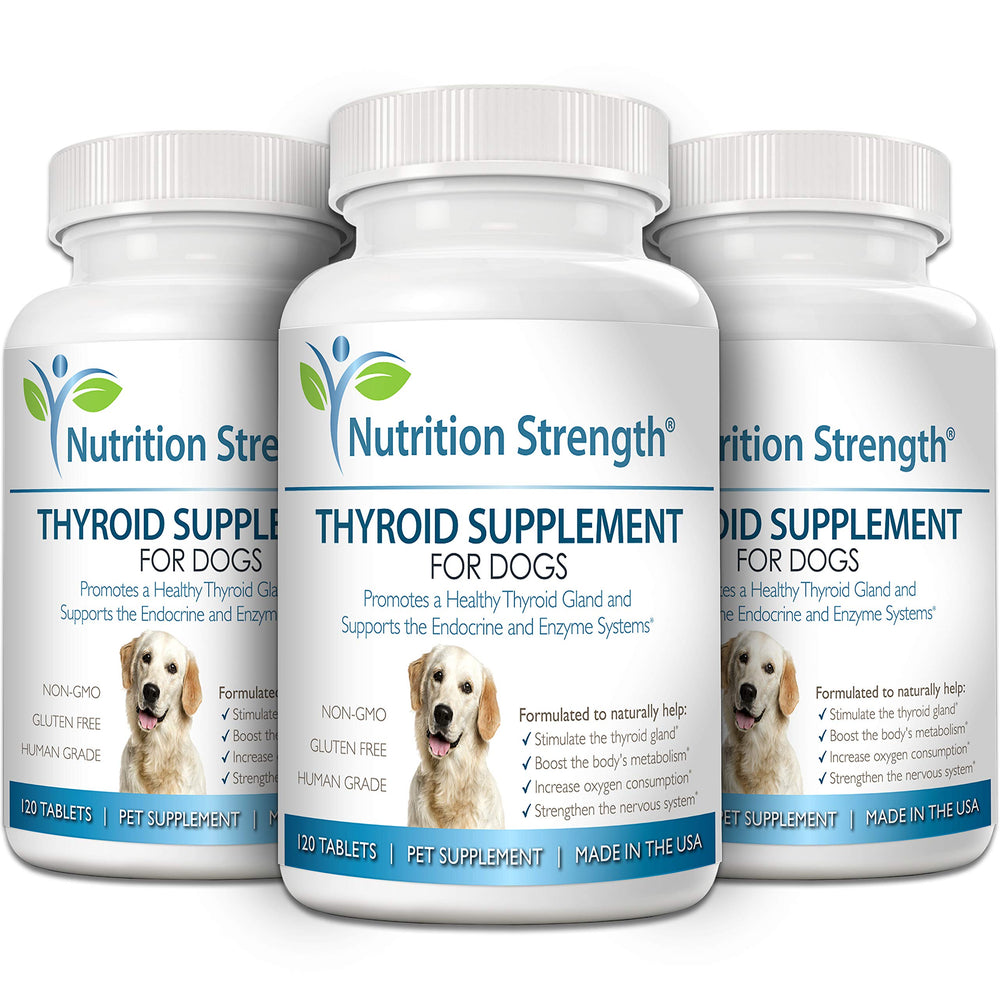 Nutrition Strength bladderwrack ingredient — supports healthy thyroid function