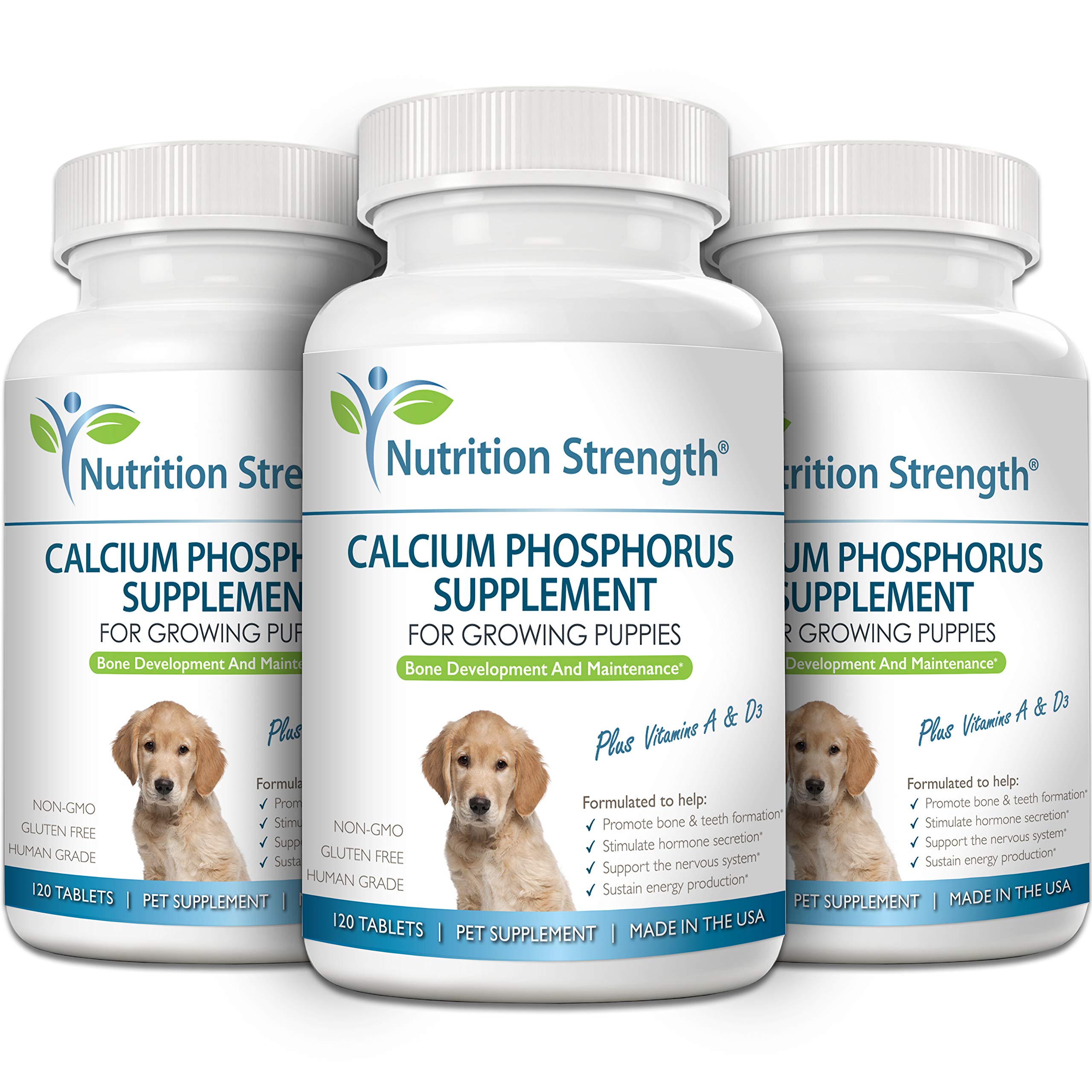 Nutrition Strength Calcium Phosphorus for Dogs daily-use scene for simple feeding.