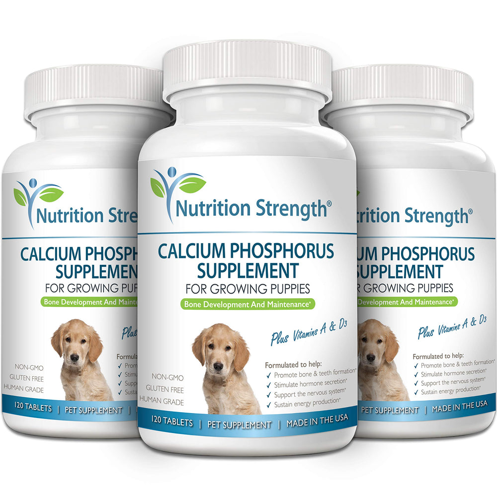 Nutrition Strength Calcium Phosphorus for Dogs daily-use scene for simple feeding.