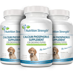 Nutrition Strength Calcium Phosphorus for Dogs daily-use scene for simple feeding.