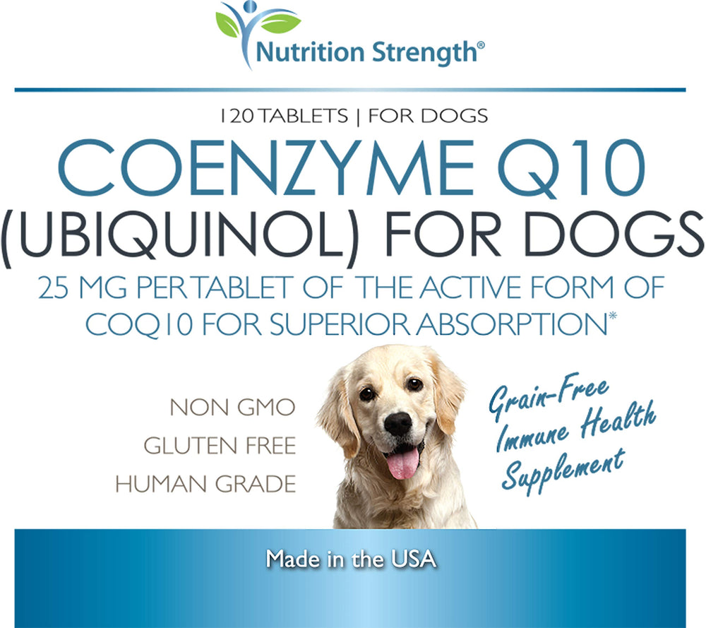 Nutrition Strength CoQ10 for dogs-activity shows a dog energized after daily walks.