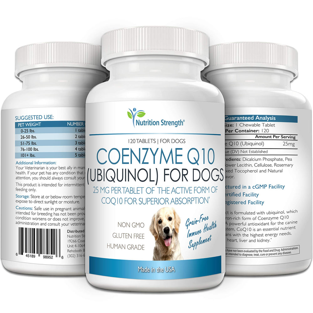 Nutrition Strength CoQ10 for dogs-heart-healthy image spotlights cardiovascular support idea.