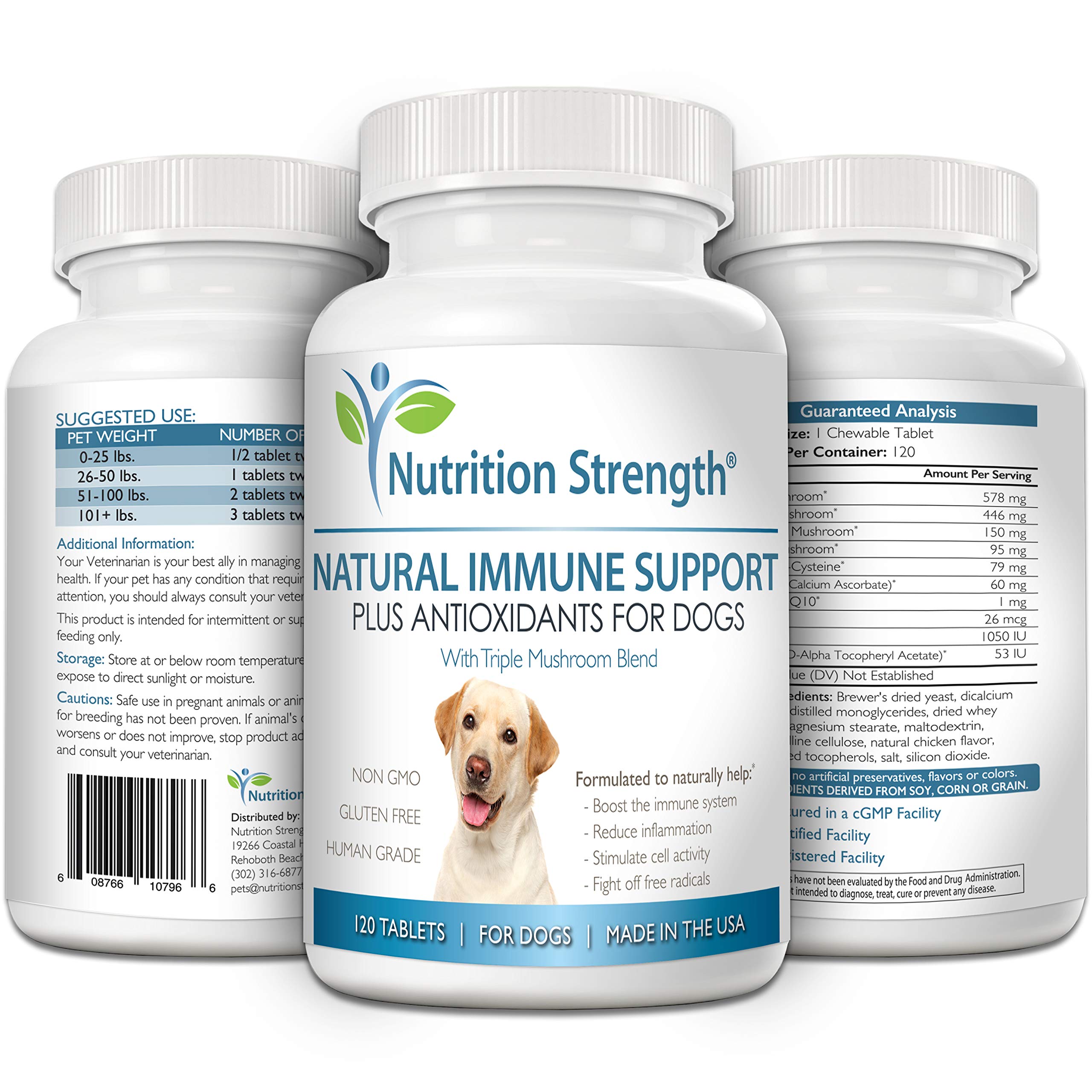 Nutrition Strength CoQ10 Vitamin A closeup highlights antioxidant protection for dogs.