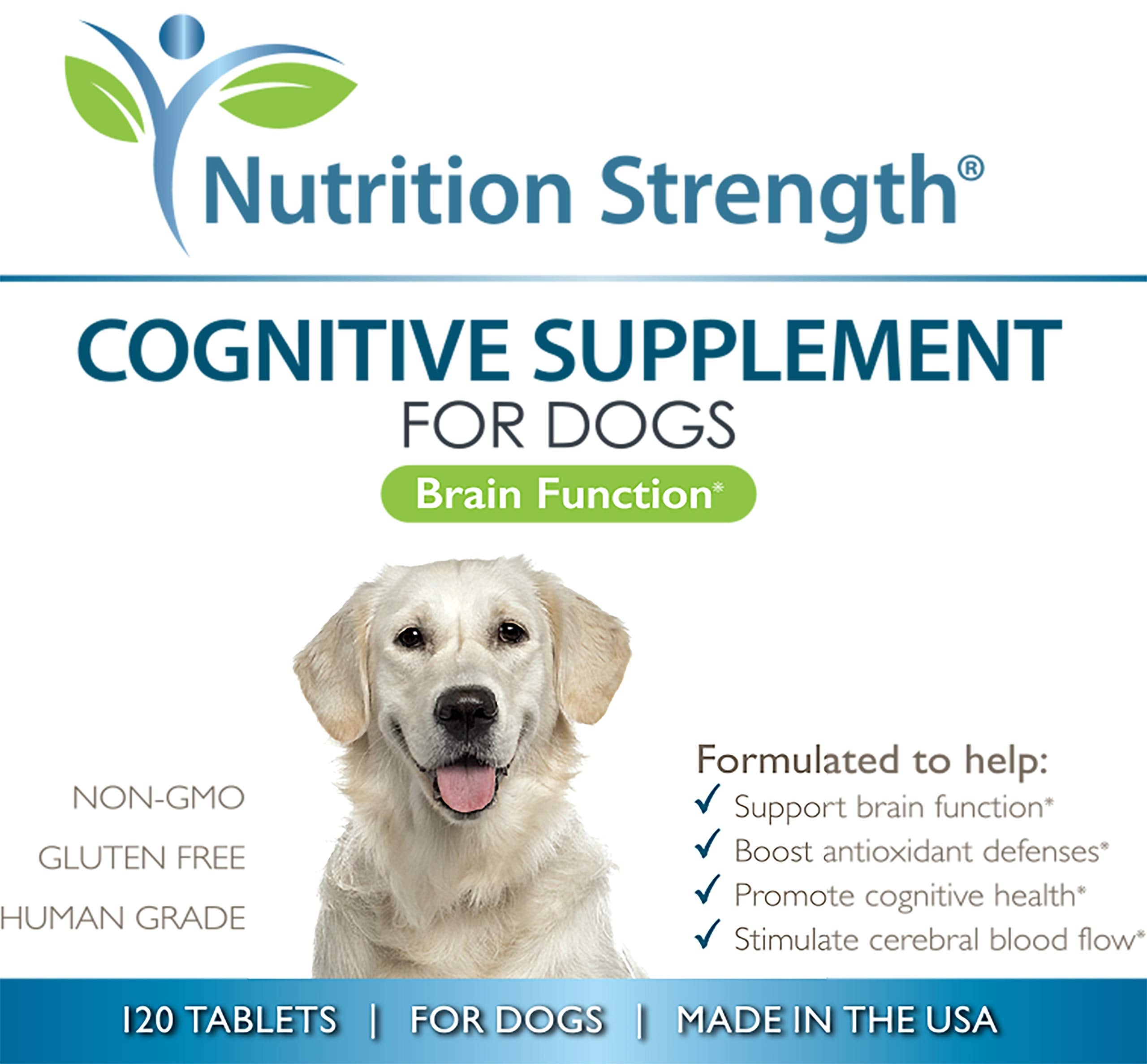 Nutrition Strength daily chews on a paw-friendly surface