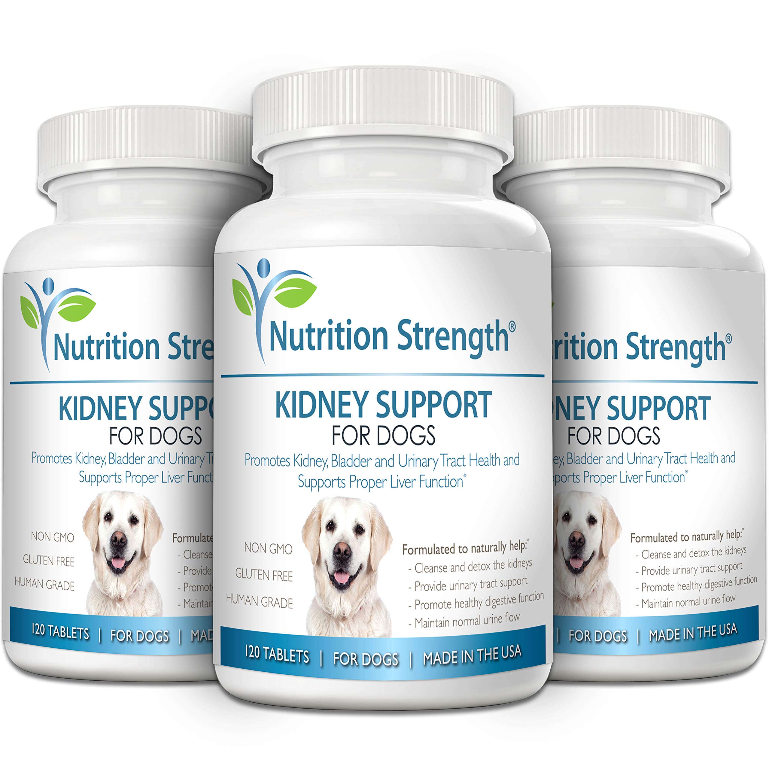 Nutrition Strength kidney support image highlighting digestive comfort and antioxidant benefits.