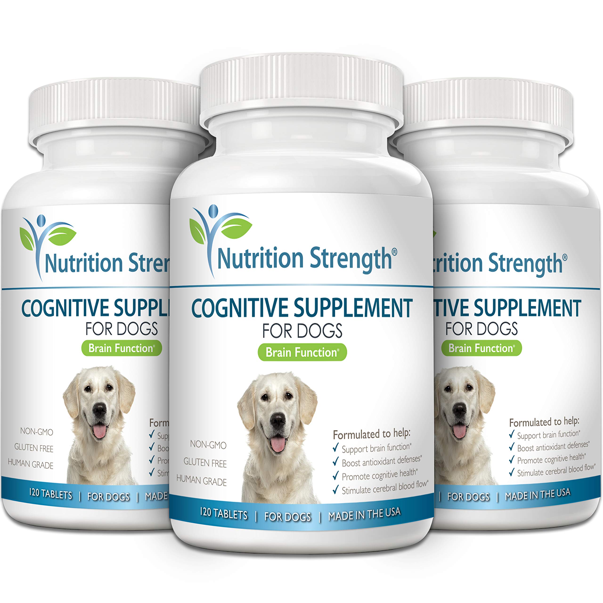 Nutrition Strength dog aging illustration shows cognitive support benefits