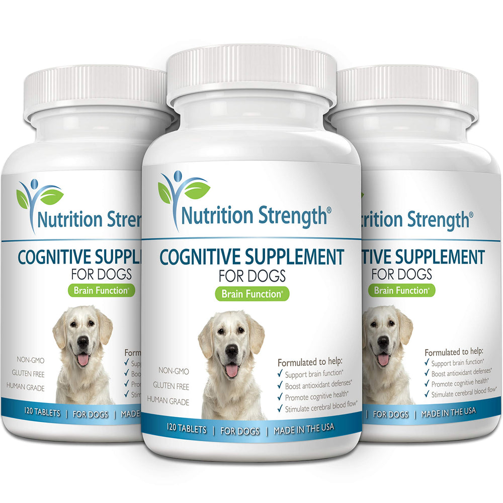 Nutrition Strength dog aging illustration shows cognitive support benefits