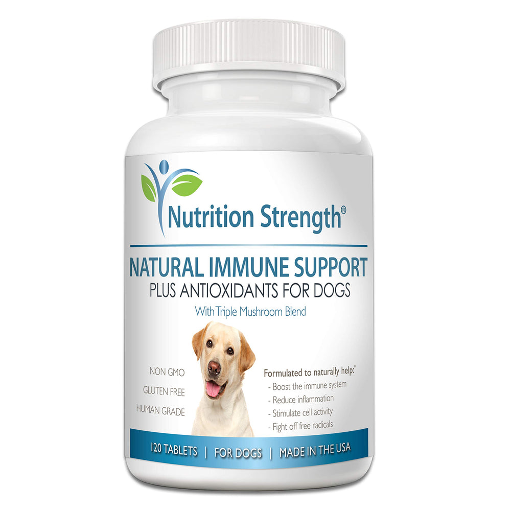 Nutrition Strength dog immune supplement bottle showcases antioxidant support for pets.