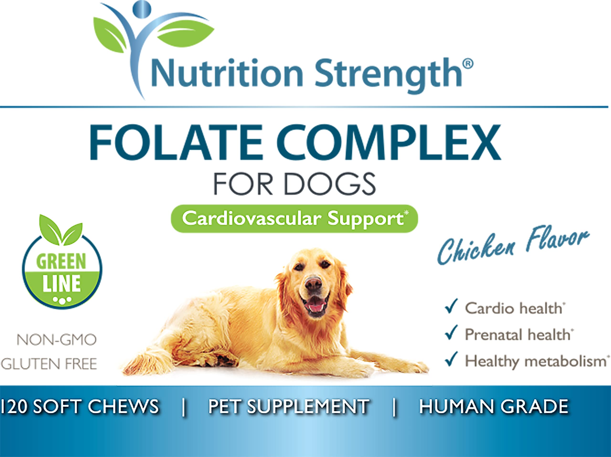 Nutrition Strength Folate for Dogs 365-day guarantee communicates reliability for daily canine health support
