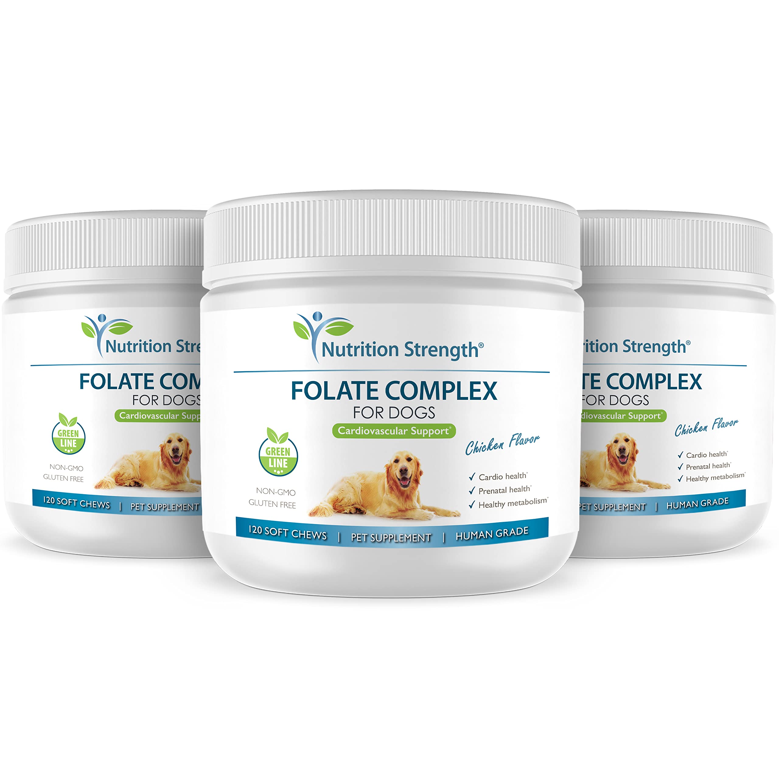 Nutrition Strength Folate for Dogs made in USA emphasizes safety and high-quality ingredients