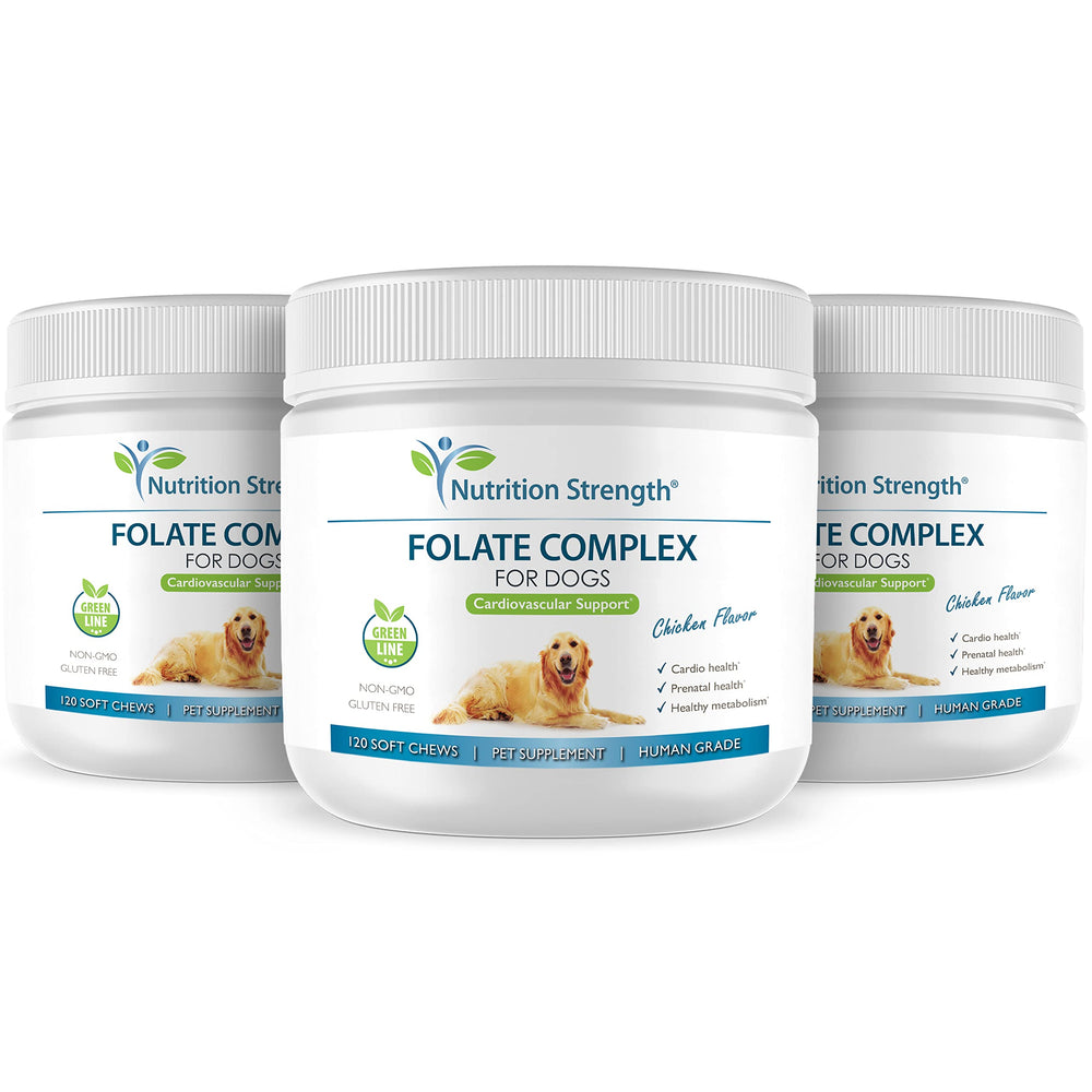 Nutrition Strength Folate for Dogs made in USA emphasizes safety and high-quality ingredients