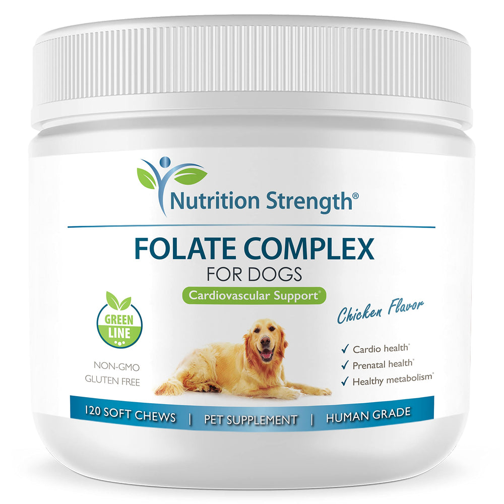 Nutrition Strength Folate for Dogs packaging highlights a premium supplement for cardiovascular support