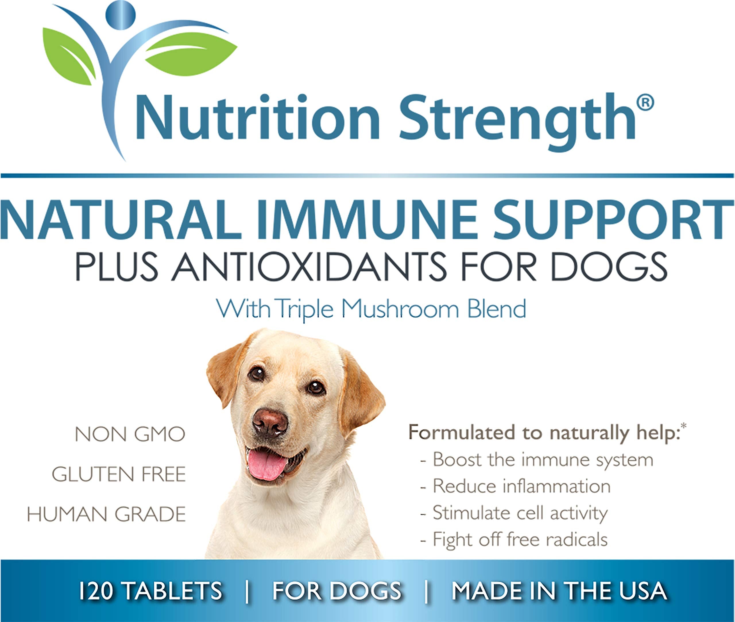 Nutrition Strength made-in-USA facility badge underscores high-quality production standards.
