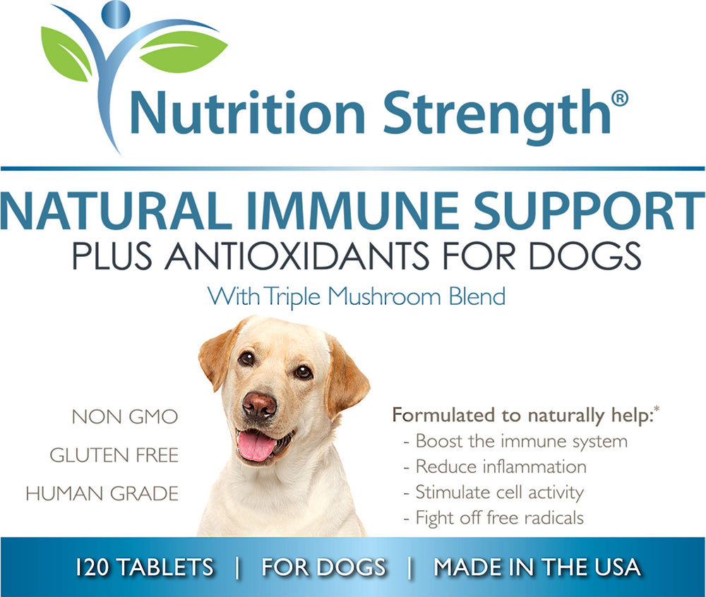 Nutrition Strength made-in-USA facility badge underscores high-quality production standards.