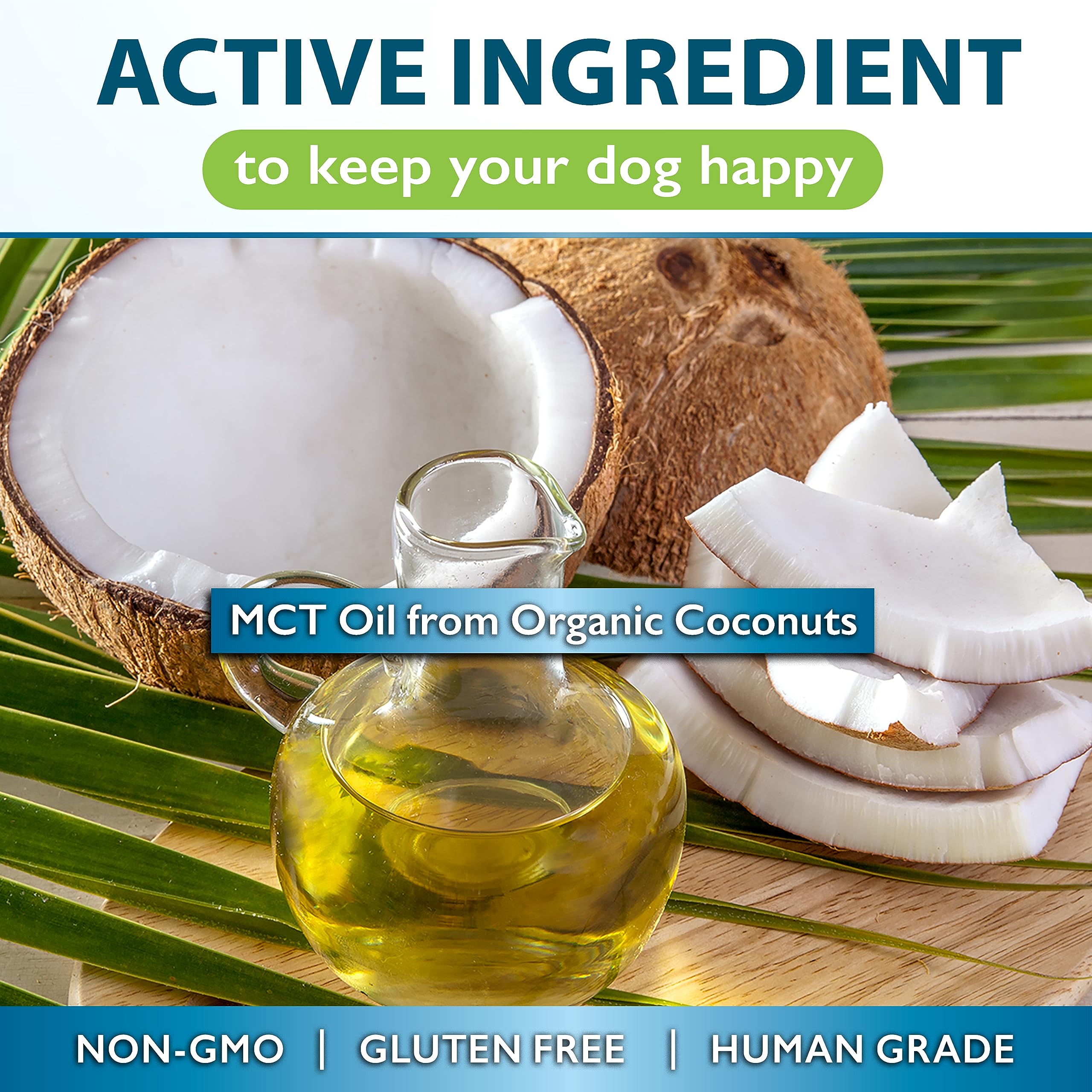 Nutrition Strength MCT for dogs coat and skin—glossy, healthy appearance.