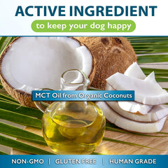 Nutrition Strength MCT for dogs coat and skin—glossy, healthy appearance.