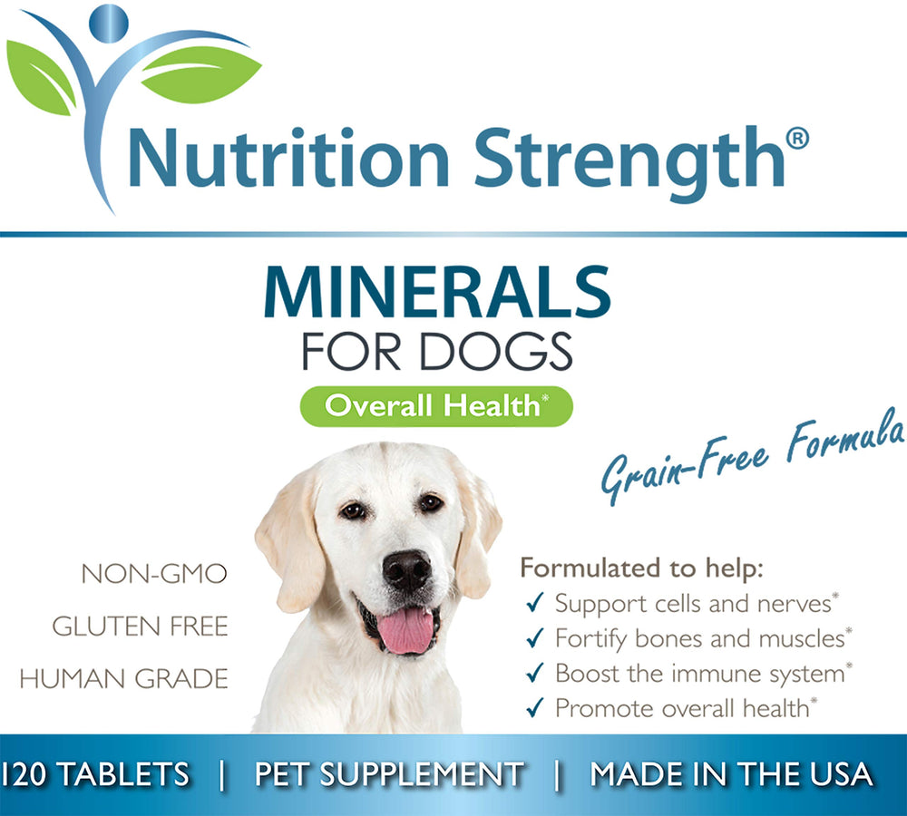 Nutrition Strength Minerals health-boost scene emphasizes bone support and steady daily vitality.