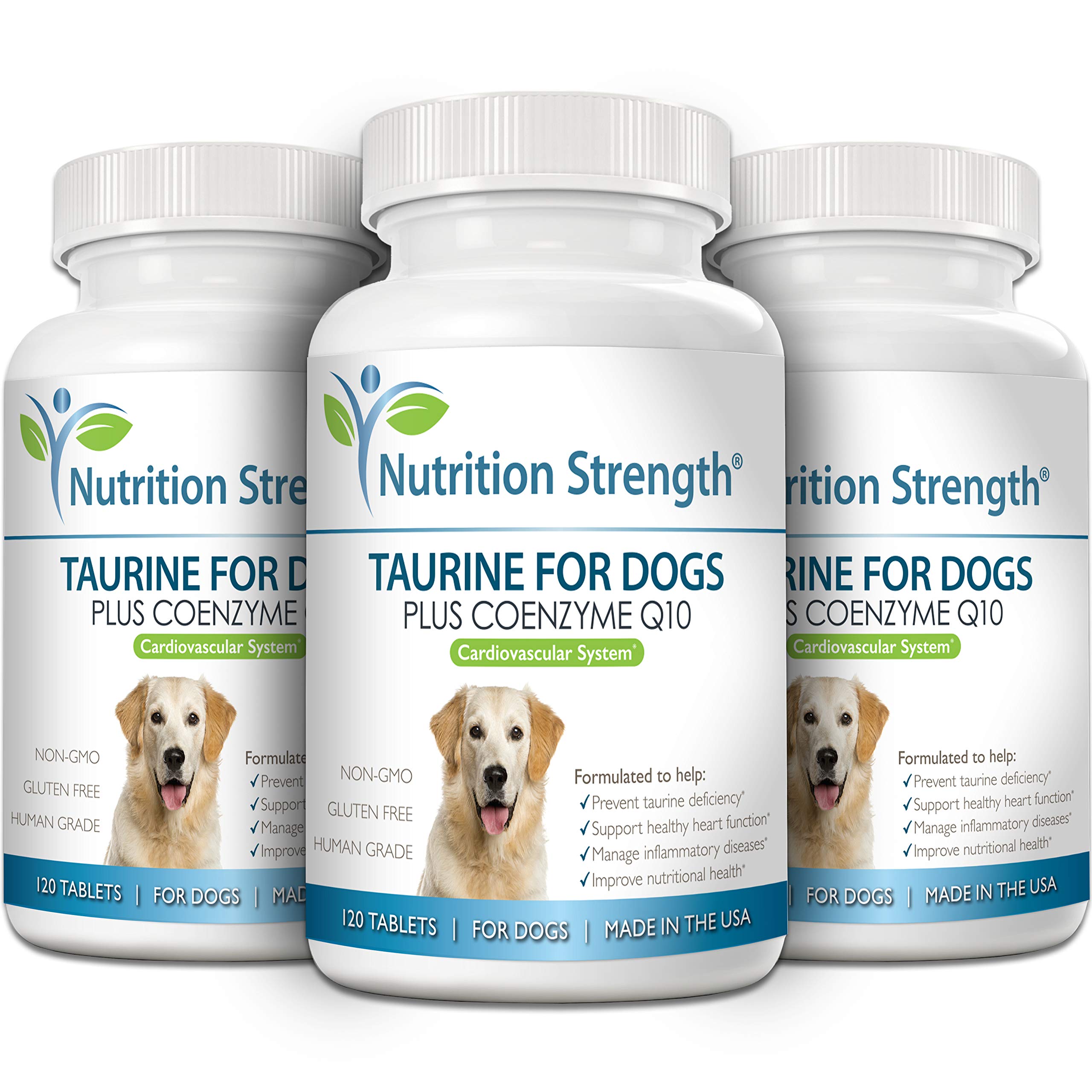 Nutrition Strength Taurine for Dogs DCM awareness image, likely heart health support