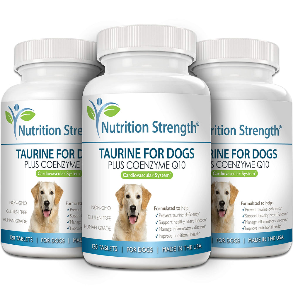Nutrition Strength Taurine for Dogs DCM awareness image, likely heart health support