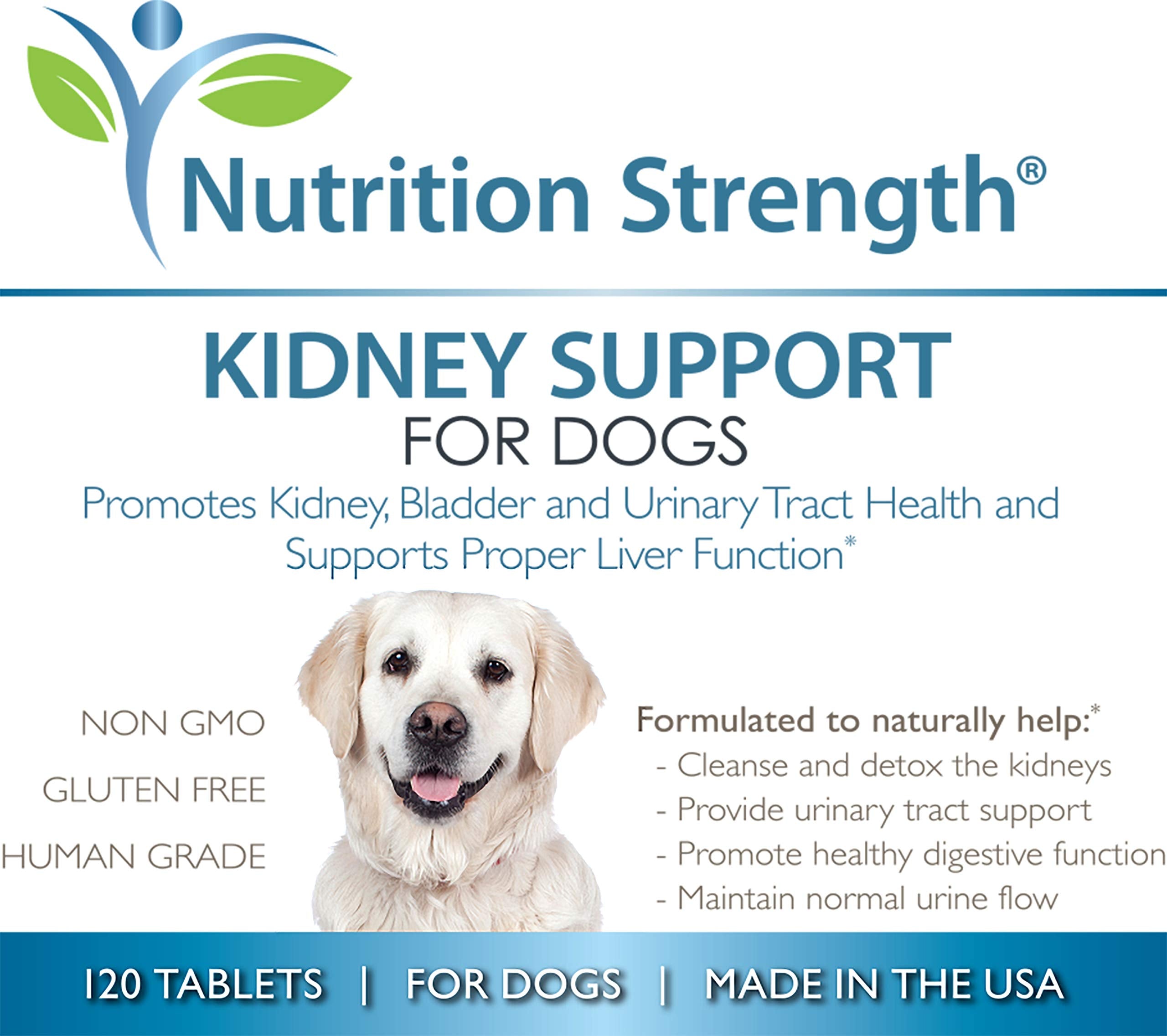 Nutrition Strength Kidney Support for Dogs demonstrates urinary tract wellness in everyday use.
