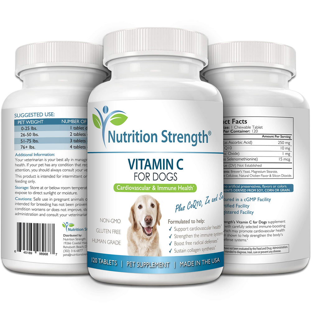 Nutrition Strength Vitamin C for Dogs cardiovascular health icon signals heart-friendly benefits