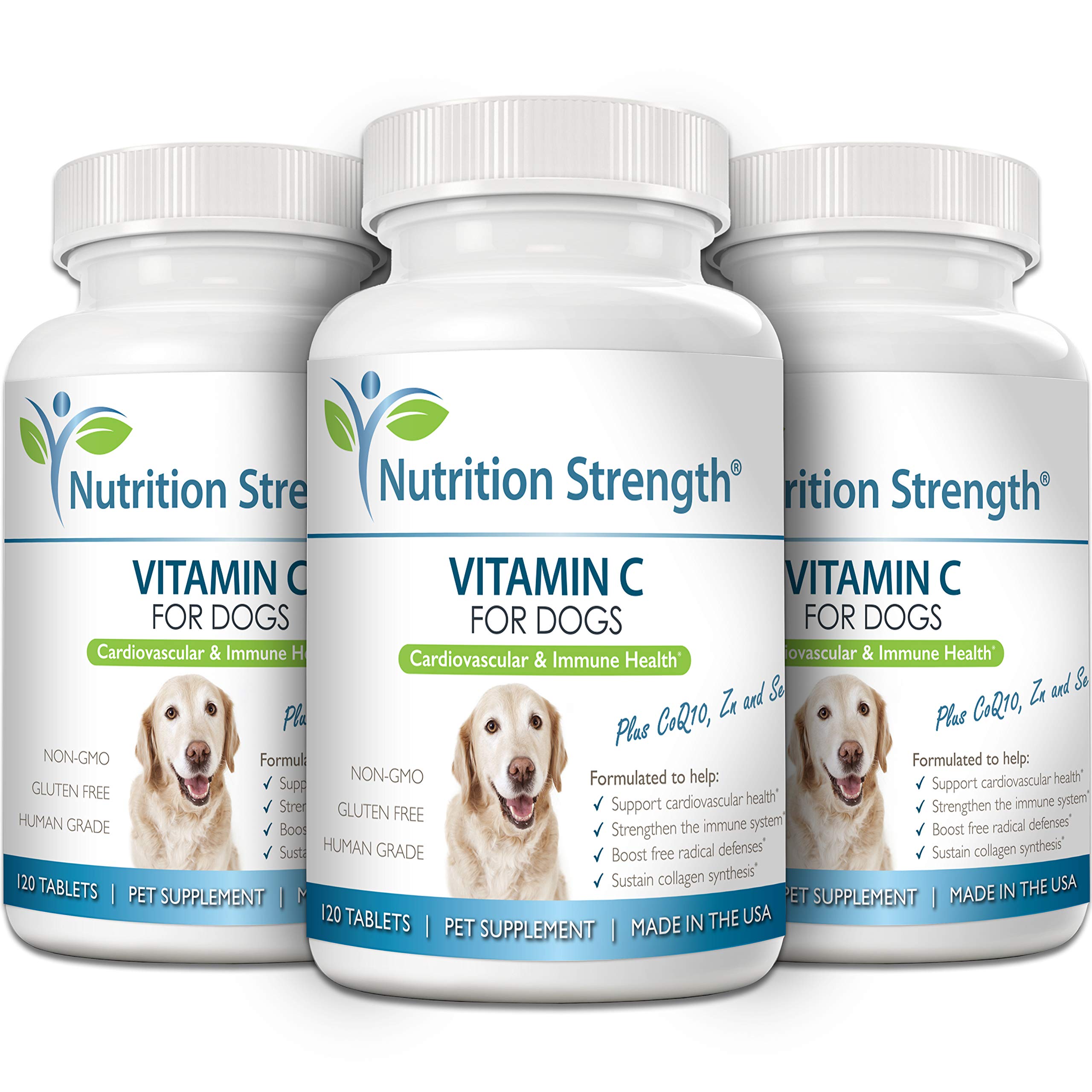 Nutrition Strength Vitamin C for Dogs immune-support graphic shows potential immune benefits