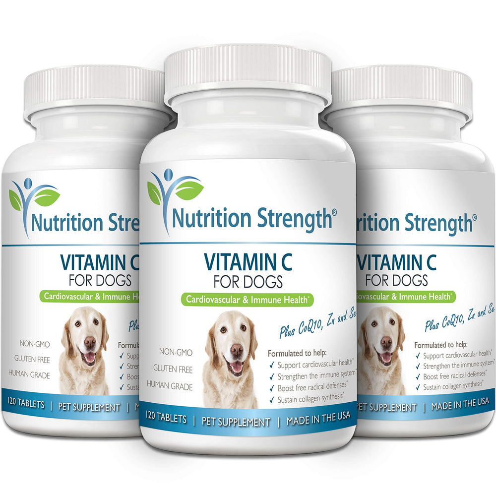 Nutrition Strength Vitamin C for Dogs immune-support graphic shows potential immune benefits