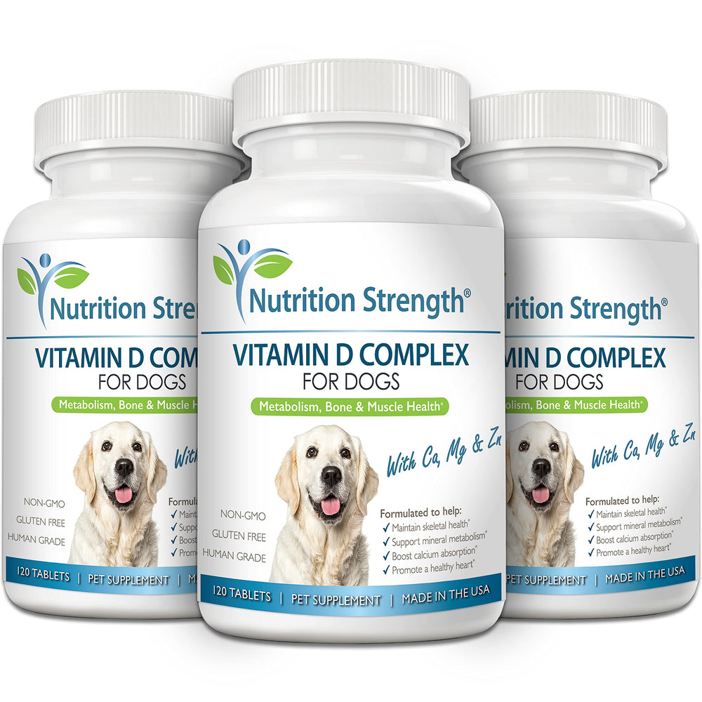 Nutrition Strength Vitamin D for Dogs bone-health visual with teeth motif.