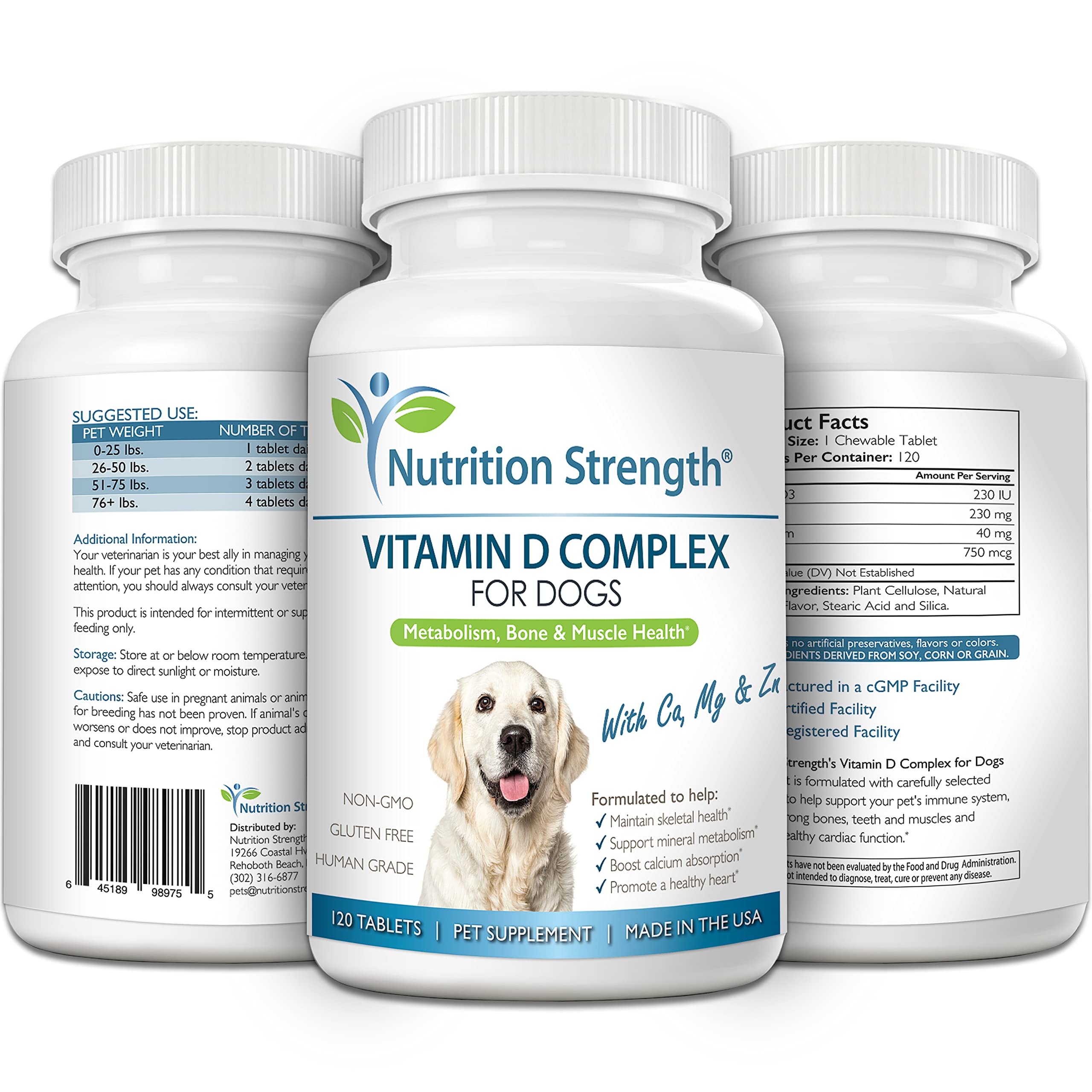 Nutrition Strength Vitamin D for Dogs immunity-boost scene promoting immune health.