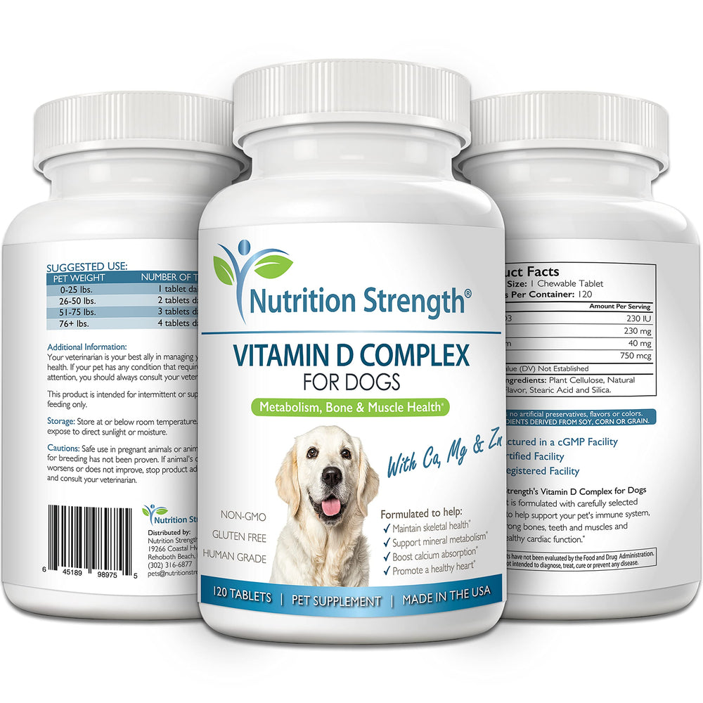 Nutrition Strength Vitamin D for Dogs immunity-boost scene promoting immune health.