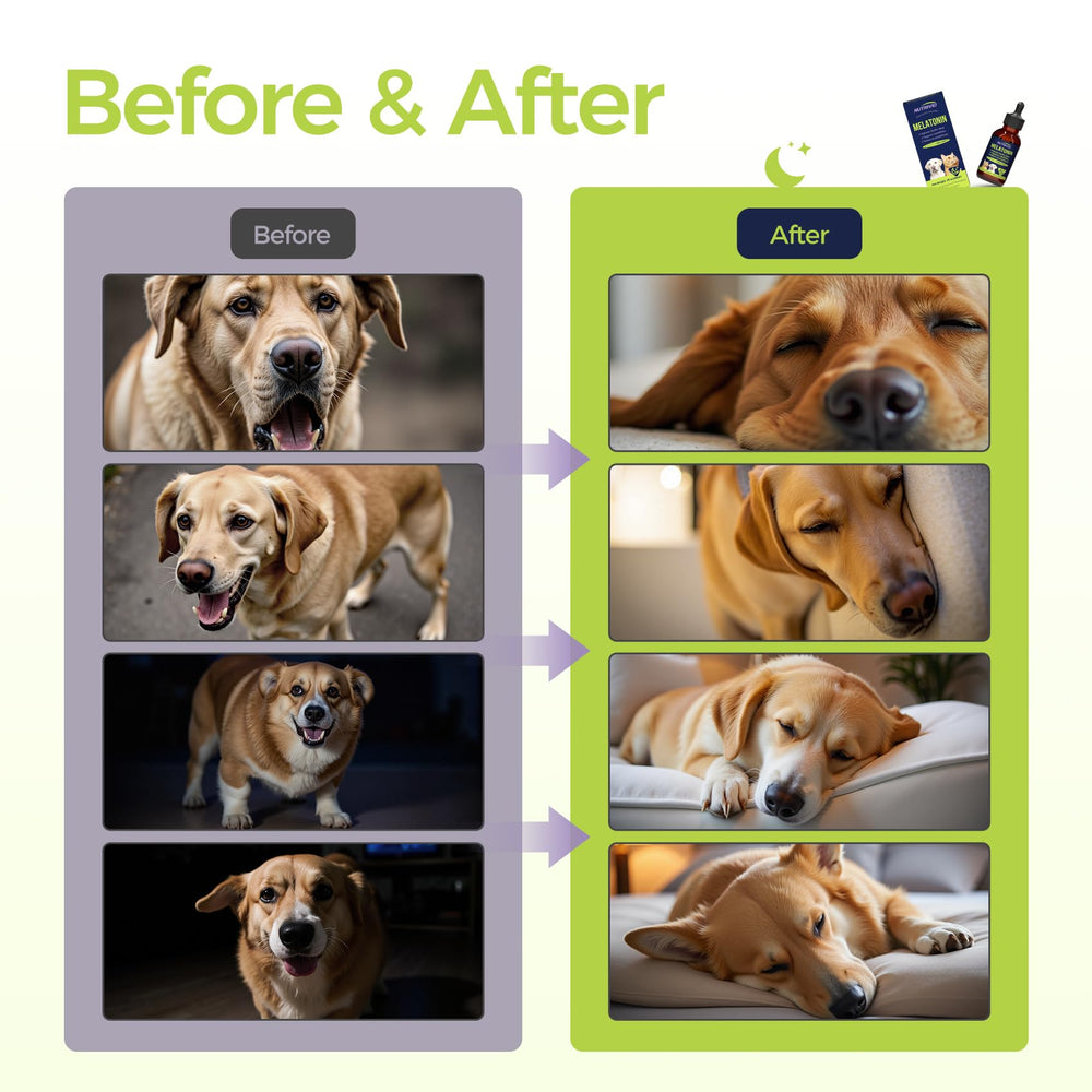 Nutrivio bedtime sleep melatonin dogs cats promotes restful nights without fuss