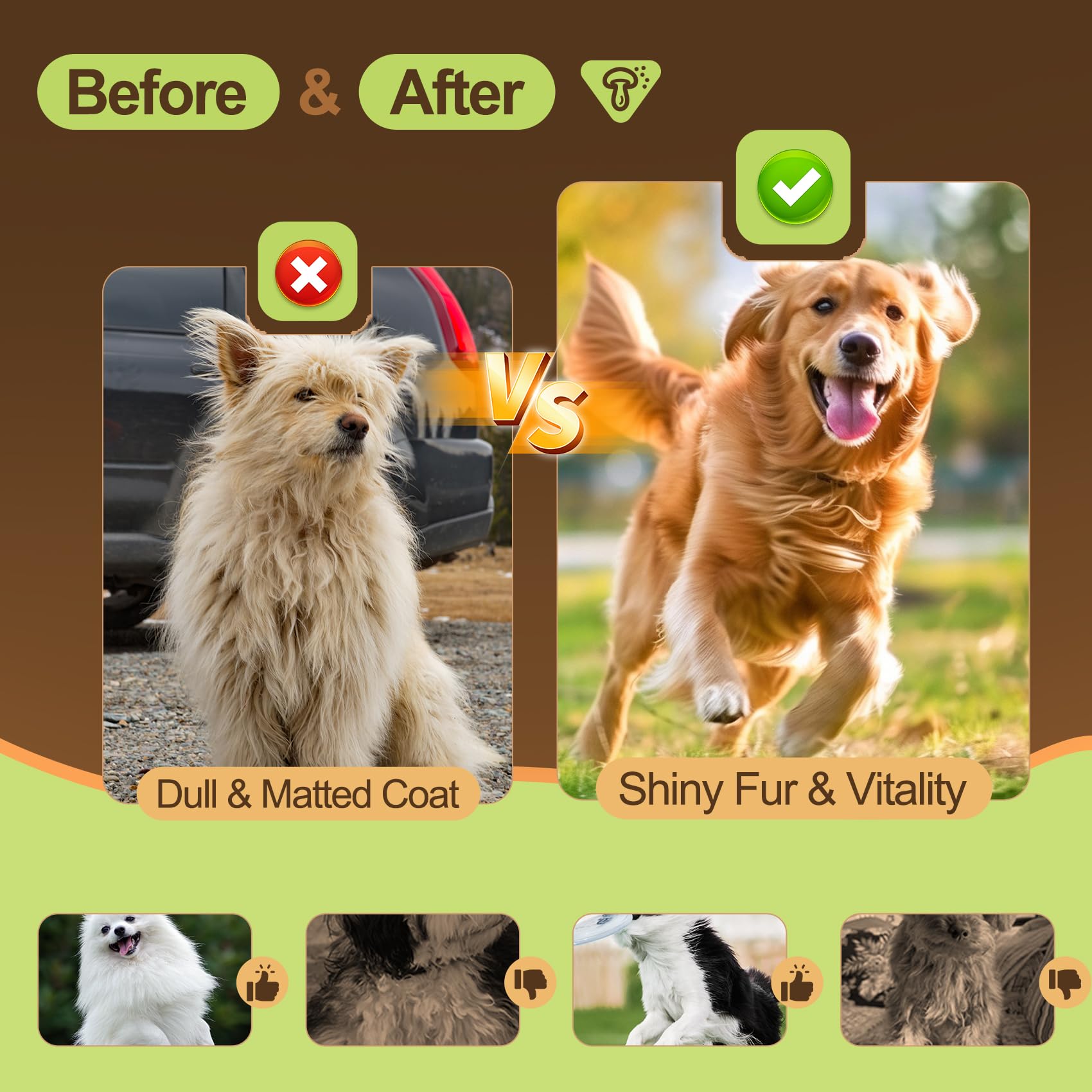 Nutrivio dog-cat dining mix blending into meals
