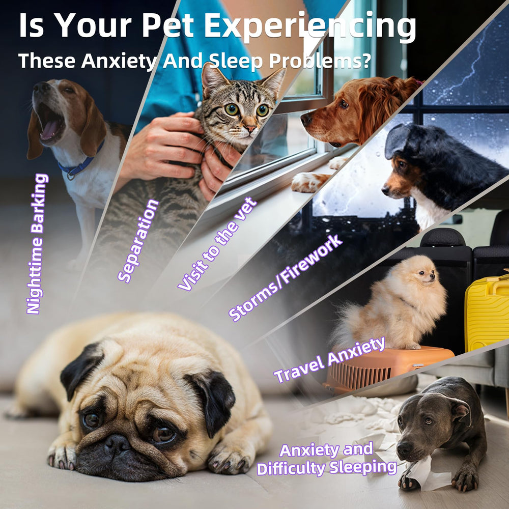 Nutrivio liquid melatonin dropper dispense convenient dosing for dogs and cats