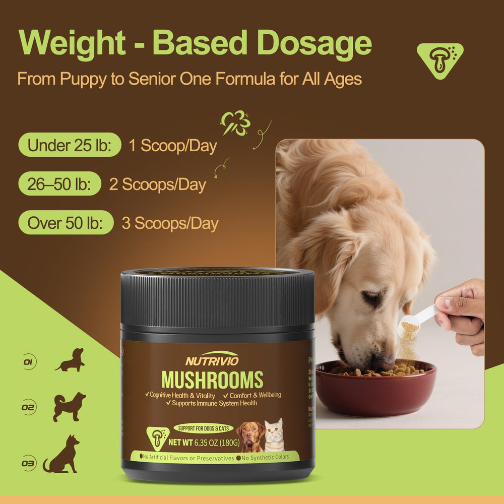 Nutrivio reishi mushroom illustrating immune-support ingredients