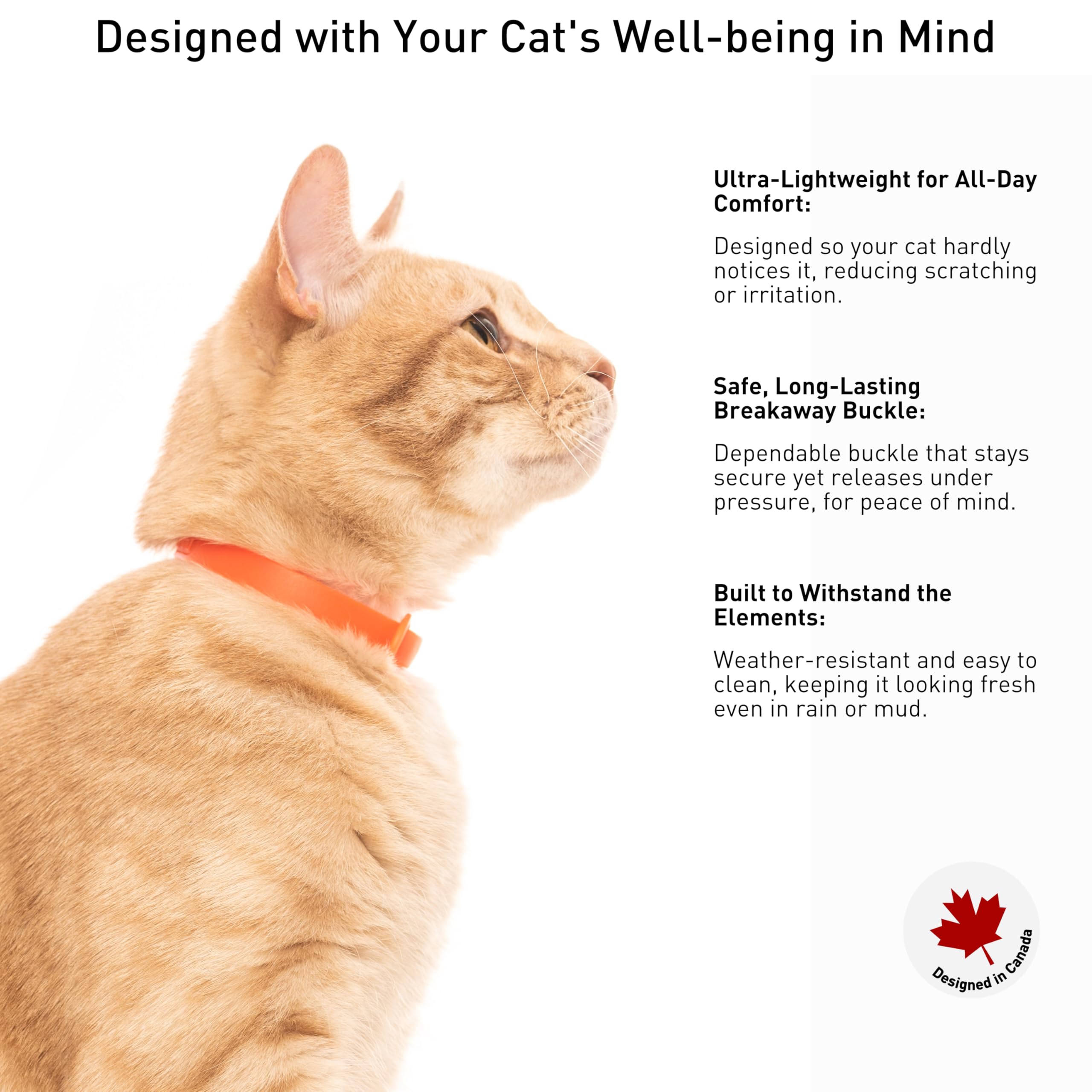 Nuvuq rubber cat collar orange adjustable length shot illustrates a secure growing fit.