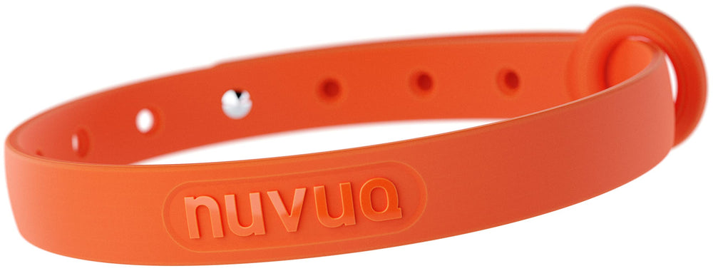 Nuvuq rubber cat collar orange side view highlighting lightweight comfort.