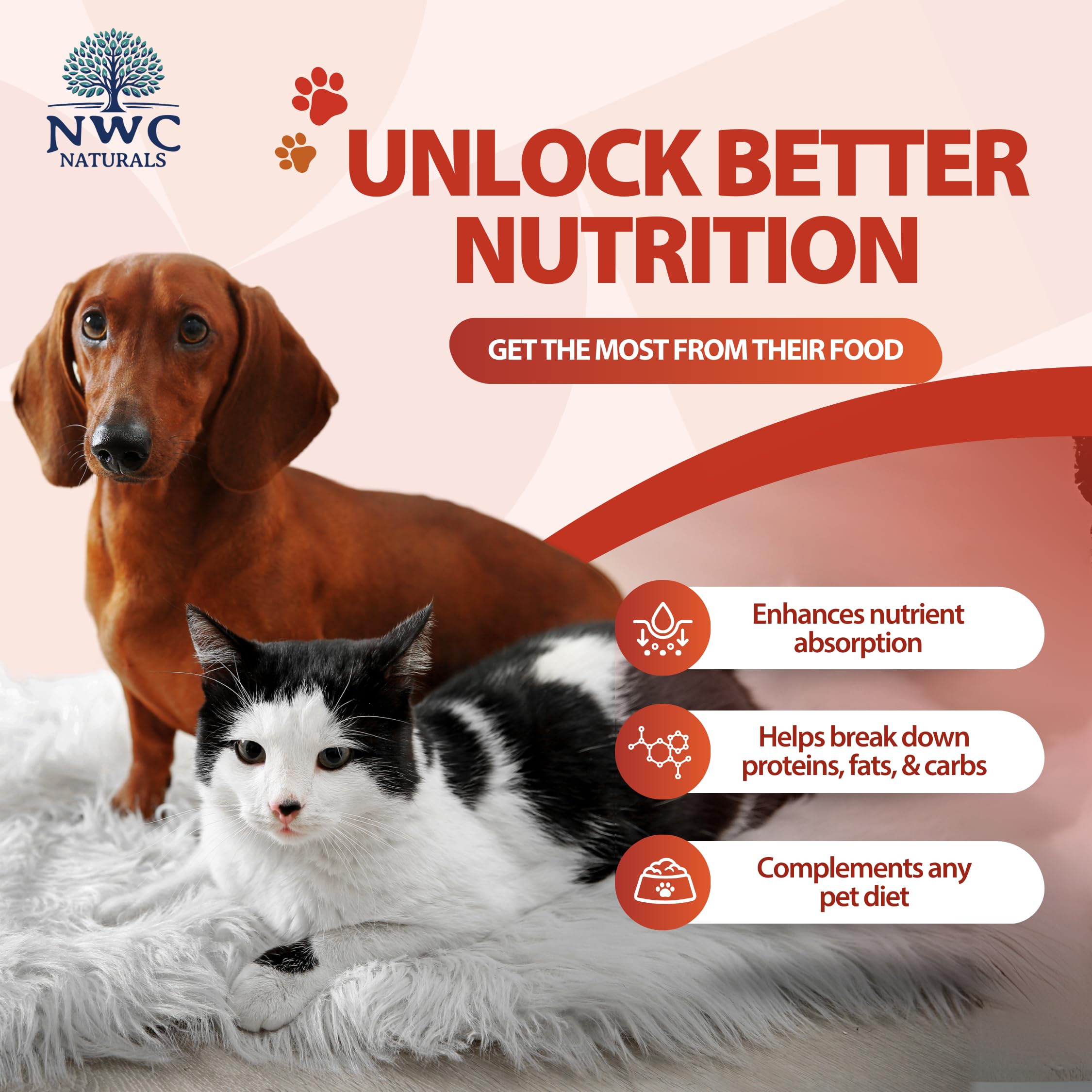 NWC Naturals Total-Zymes cat bowl with powder enhancing nutrient absorption