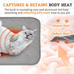 NWK Fluffy Self-Warming Cat Mat on a sofa creates a cozy resting spot.
