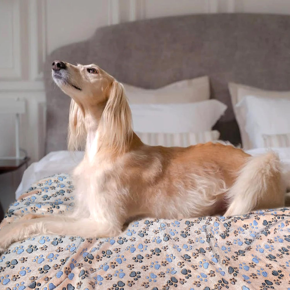 NXDZI dog blanket in car seat demonstrates pet travel comfort and protection.