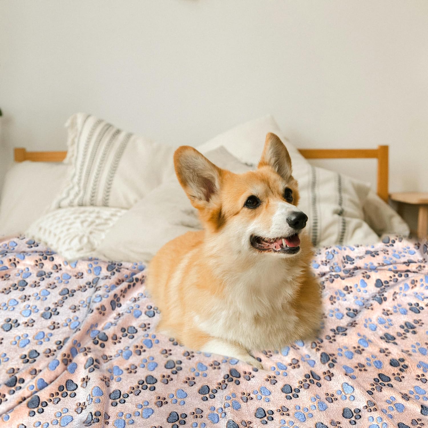 NXDZI dog blanket on sofa showcases furniture protection and cozy resting spot.