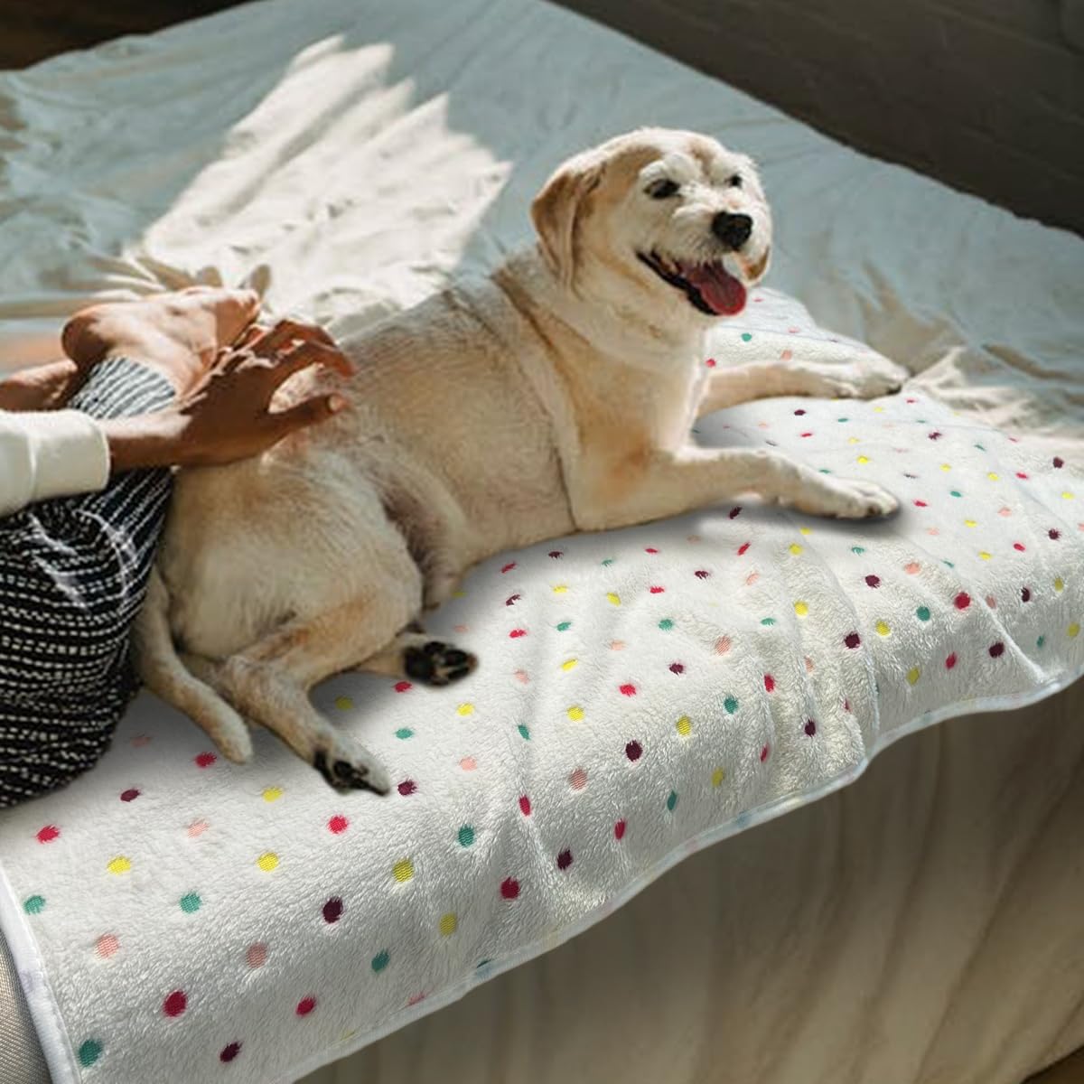 NXDZI 3-pack dog blankets provide versatile coverage across kennels, couches, and crates