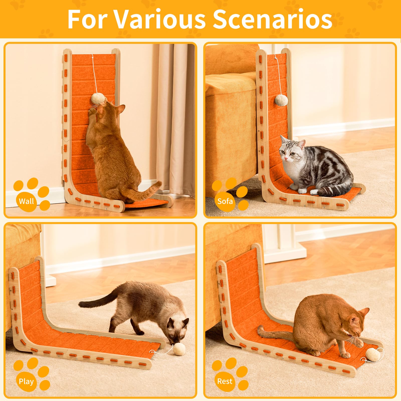 Nxwjoy kitten use image depicts a curious cat enjoying wide scratching area