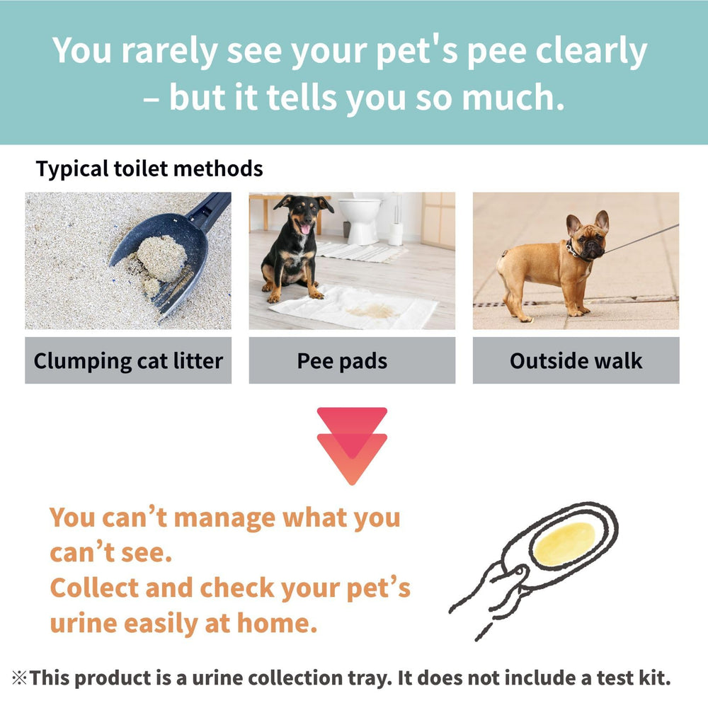 Nyanpling multi-cat household tray prevents cross-pet mix-ups during urine sampling