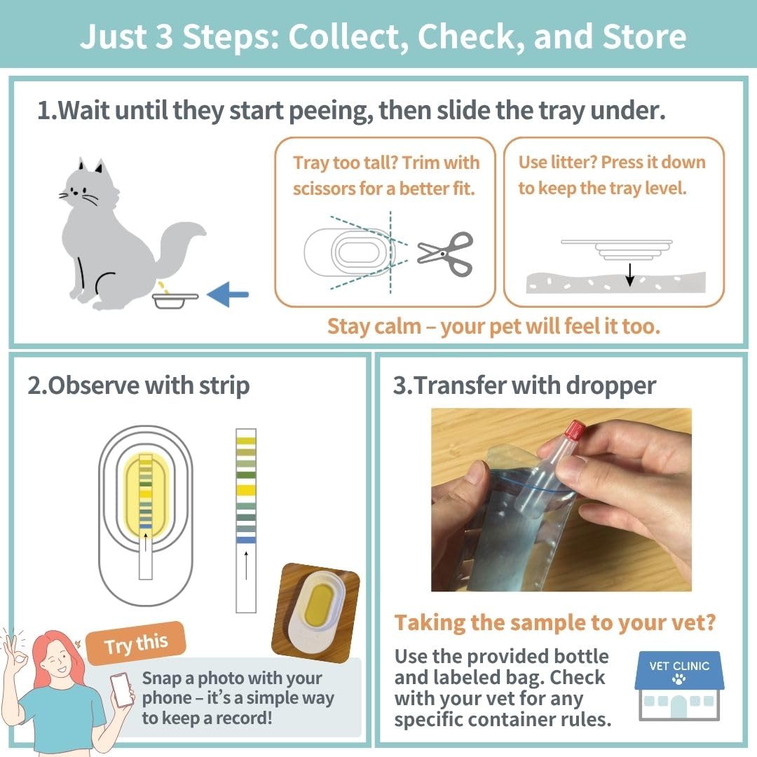 NYANPLING Morning-urine collection tips to help samples before feeding.